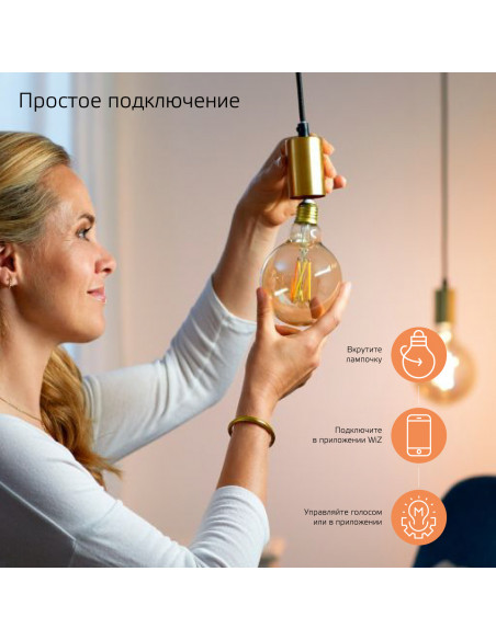Лампа Gauss Smart Home Filament G95 6,5W 720lm 2000-5500К E27 изм.цвет.темпр.+диммирование LED 1/40