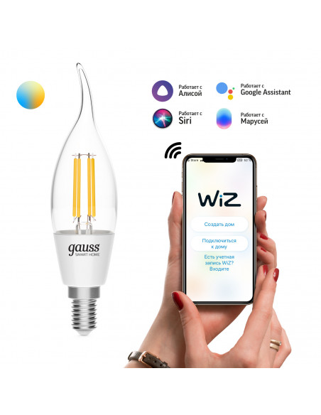 Лампа Gauss Smart Home Filament СF35 4,5W 495lm 2000-6500К E14 изм.цвет.темп.+дим. LED 1/10/40