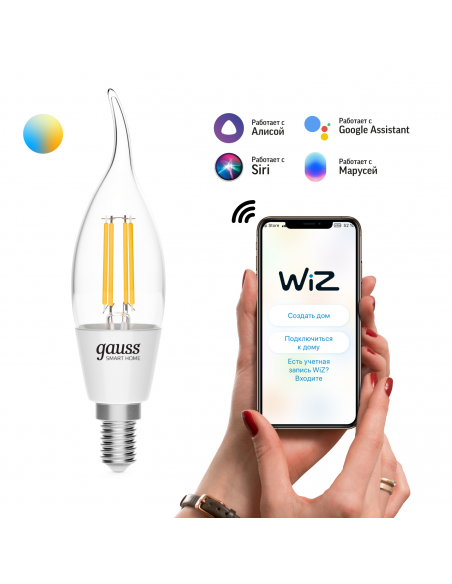 Лампа Gauss Smart Home Filament СF35 4,5W 495lm 2000-6500К E14 изм.цвет.темп.+дим. LED 1/10/40