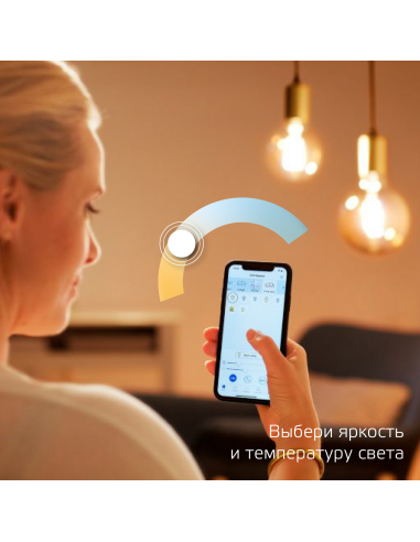 Лампа Gauss Smart Home Filament СF35 4,5W 495lm...
