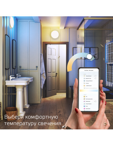 Cвет-ик GaussSmartHome наст-потол...