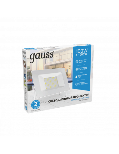 Прожектор Gauss Elementary 100W 9500lm 6500K...