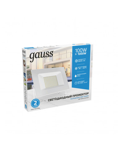 Прожектор Gauss Elementary 100W 9500lm 6500K...