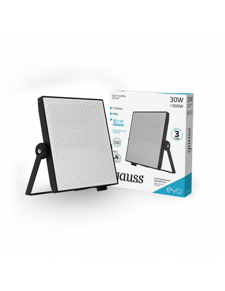 Прожектор Gauss EVO 30W 2700lm 6500K 100-240V IP65 черный LED 1/30