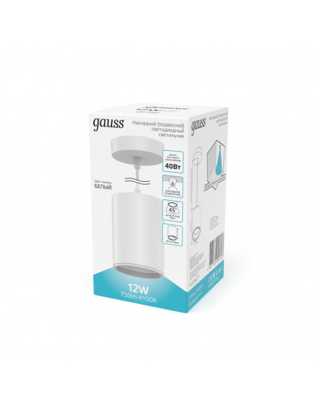 Светильник Gauss Overhead подвес цил12W 650lm 4100K 170-240V IP20 79*100мм белый LED 1/20