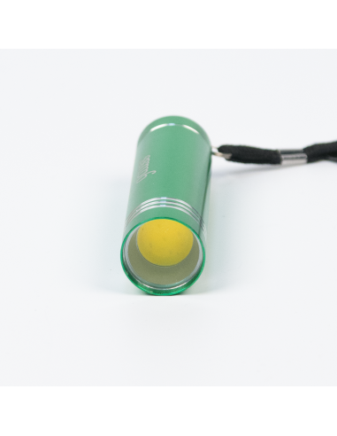Фонарь ручной Gauss модель GFL108 2W 120lm...